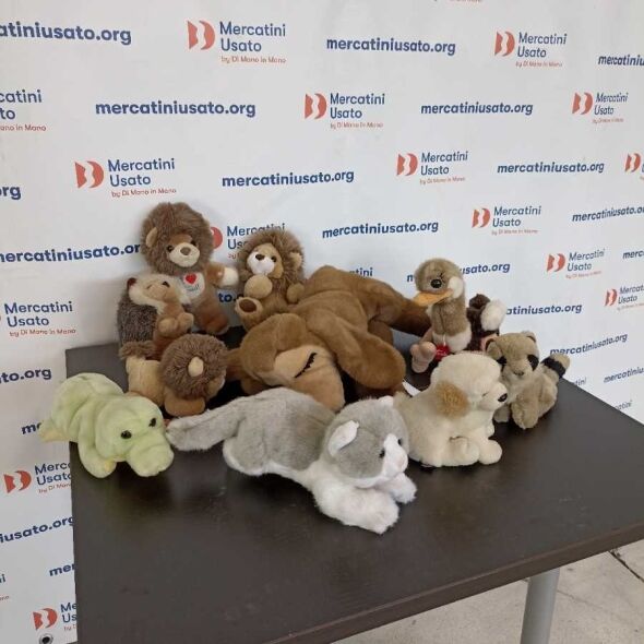 Lotto di 10 Peluches Trudi